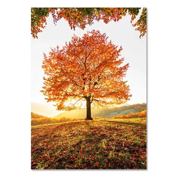 S0e1c7d8bd60d45489ea467b846e62e0cz 1