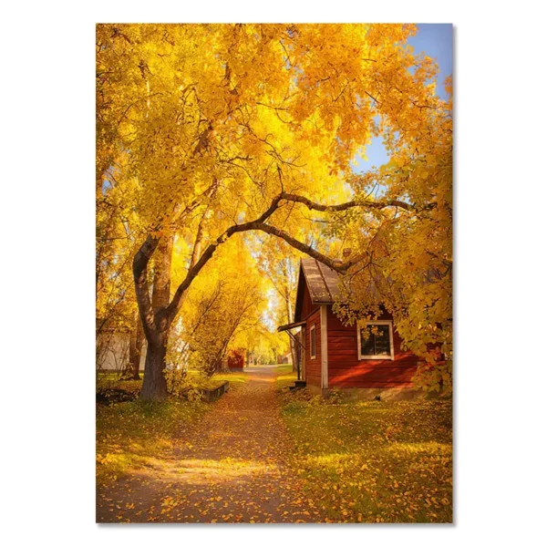 S1aec241e21ed4b66a6a57042aacd9beb5 1