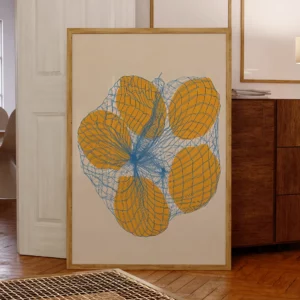 Affiche d'un sac en filet de cinq citrons
