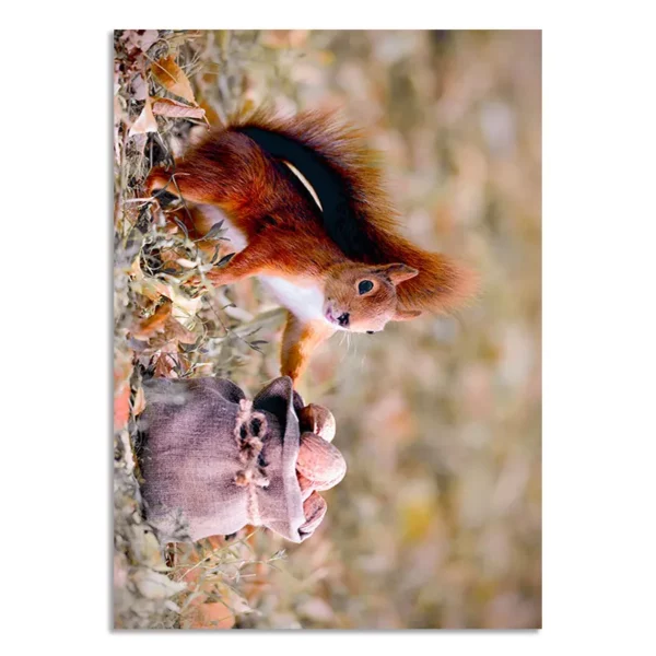 S536691a52fe74f98bb4475d7bab96c81O 1