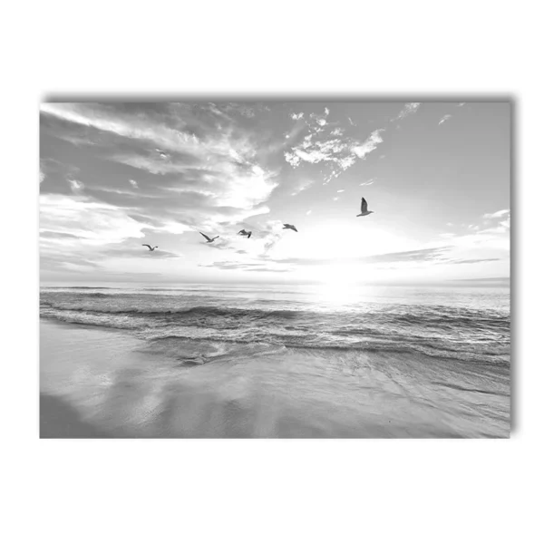 S570b2b3adb4942ccb6e4c80747e0c930h 3