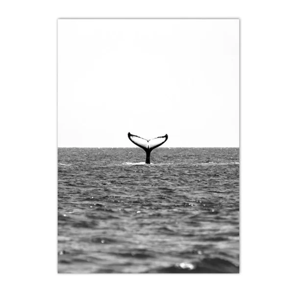 S5def06b313794086ba85d0ba56abd9ebZ 3