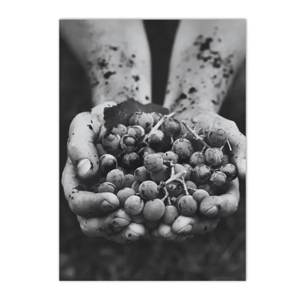 S72145f7c02f34bd182678a85811f84f2a 3