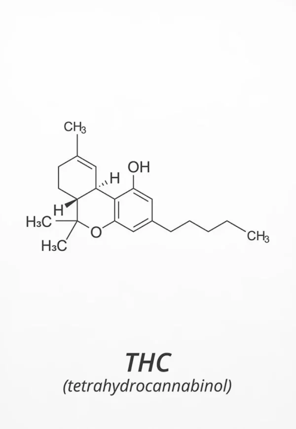 S9dfaf5141f5f4bd3bdfdaf9cd9eee404O 1