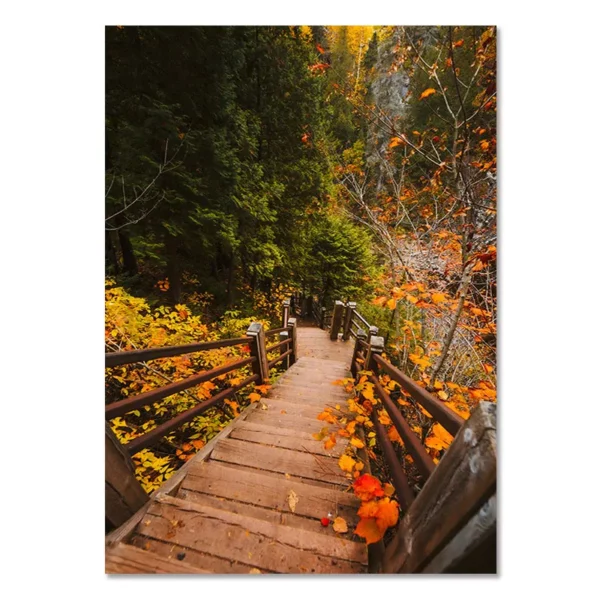 Sa53dc40fcfc04274becb1c8d6ee485c69 1