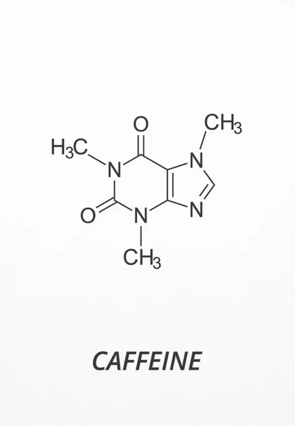 Sa6450510496a4e5894081ba2ceda13acb 1