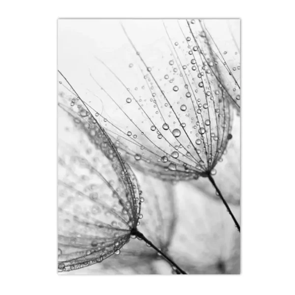 Sb08febf7c88f4c029a4998f4fdeb17fbY 3