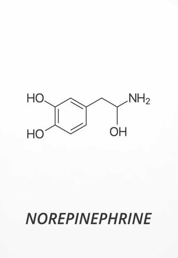 Sb42bdc6a3b354544b7b9782bf4c79820r 1