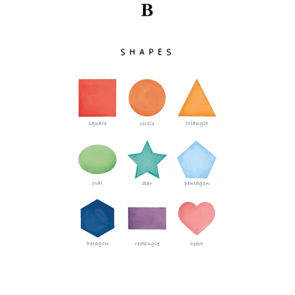 Sb5ab2b2a28e34a5ba109df3ee12e655ab 1