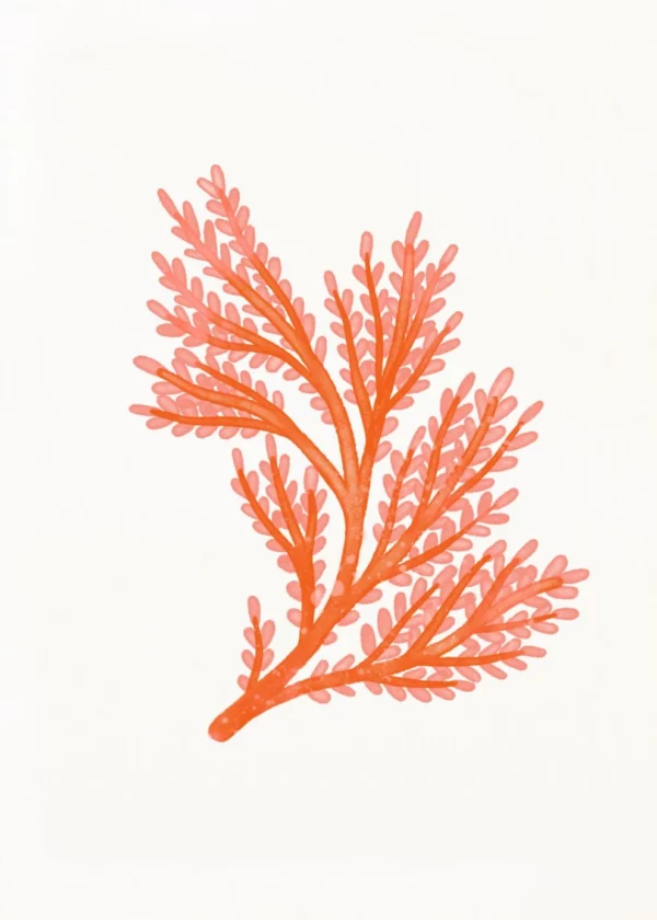 Scb4f5dc2038b4135bf0d44ac4ed7b9f8p 1