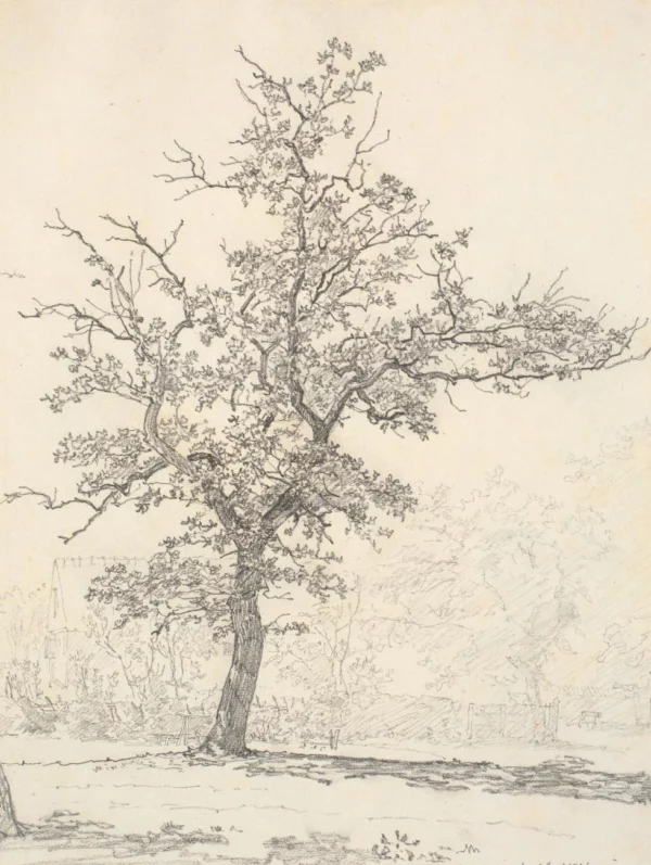 Sd080dd27cb964618bb9aa799805606c5T 1