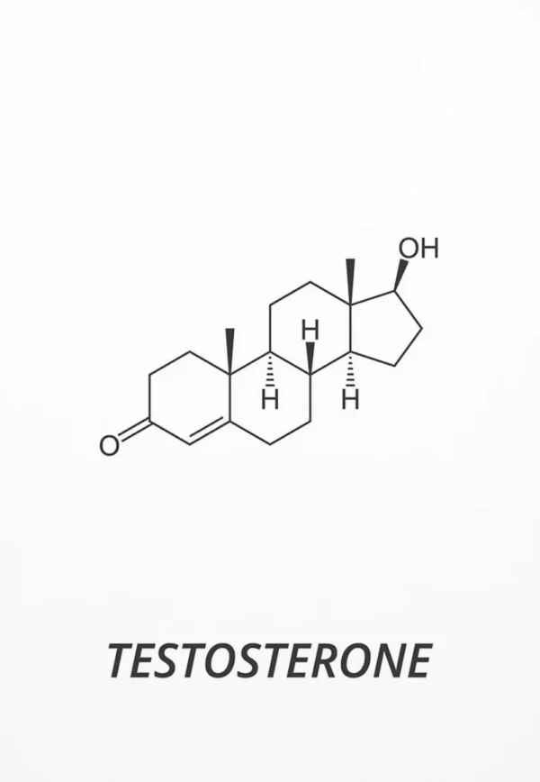 Sd44496a28ada4841b153c89898c5be3e7 1