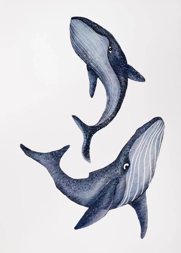 Sd9e3df905fe54b56b5842dbc75e228edg 1