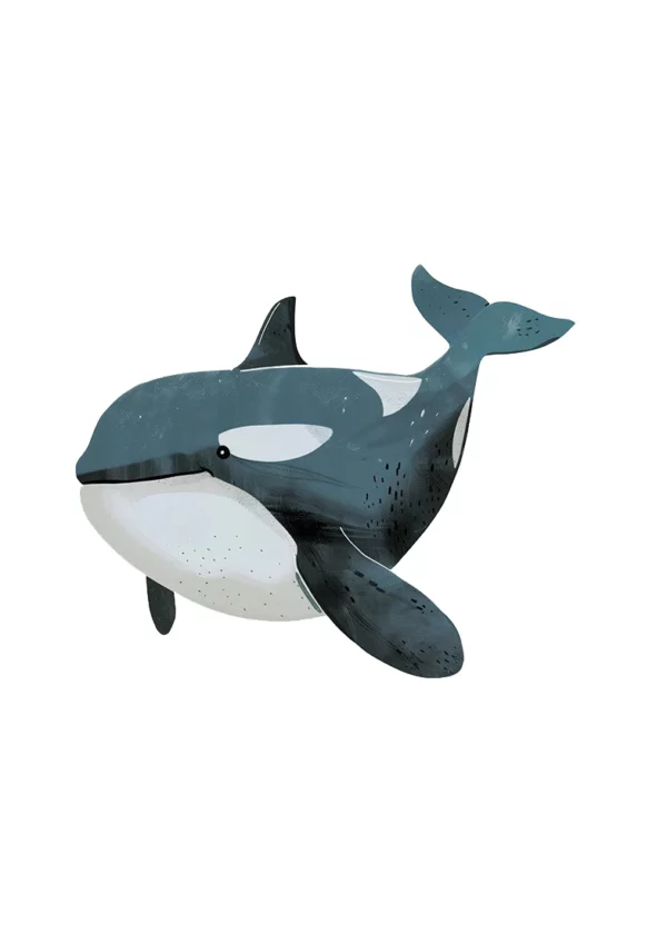 Sddc7768a51644246913403a56ed4a571J 1