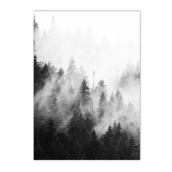 Sf3407a6e60264ebdb09a5e069787a21bX 3