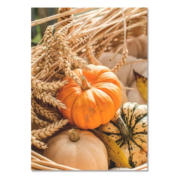 Sfde2d0ad992c4fc6af366fd3650829748 1