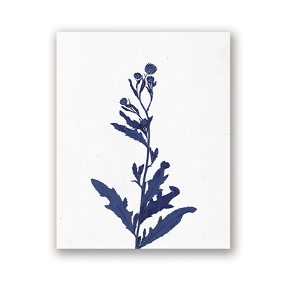 HTB1M4V4RpzqK1RjSZFCq6zbxVXa4 1