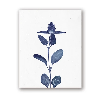 HTB1UBJSRCzqK1RjSZPxq6A4tVXaI 1