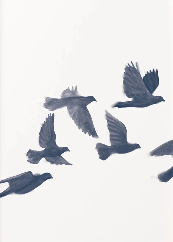 S913c7880f0034416b0f4d97b46873e8ey 1