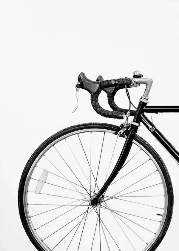 Seab6d6ebb412485da5cfdcbba00ca136n 1