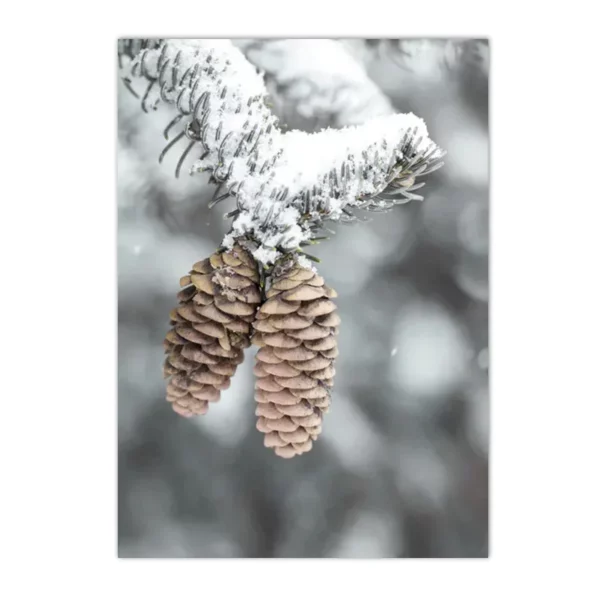 S0168a53b84084a4e9007da3f326c8874J 1