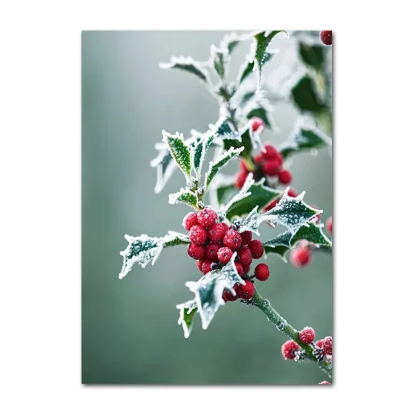 S07002fae162f4e81a9bda7f92103d3fa0 1