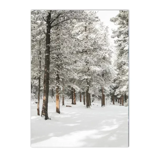 S10e7d5cc71c44844a77bb78fae4e37d9c 1