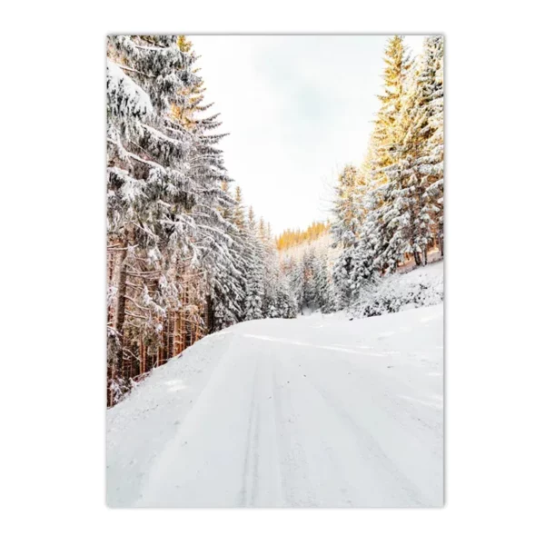 S25ecd2c8cacc434aac1df5599fc2cae7O 1