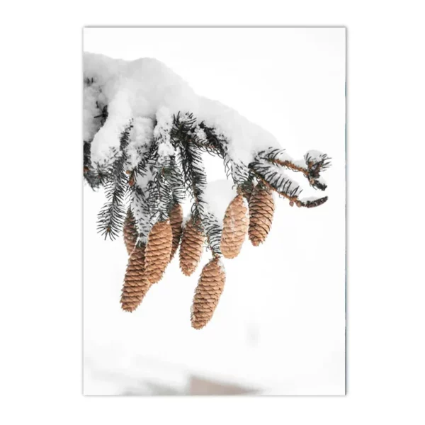 S4d2b8ba54a0d49bc9a8ad9782707123dd 1