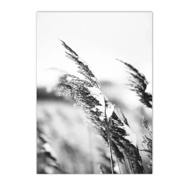 S99b545c0b92948968cc552830d8a9f18L 1