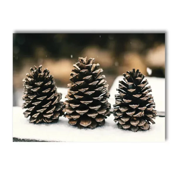 Scde74aad7d704645afae3a567e6e05cex 1