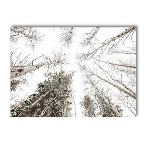 Seaa98046ad2e4eabaf87503a25232fc9M 1