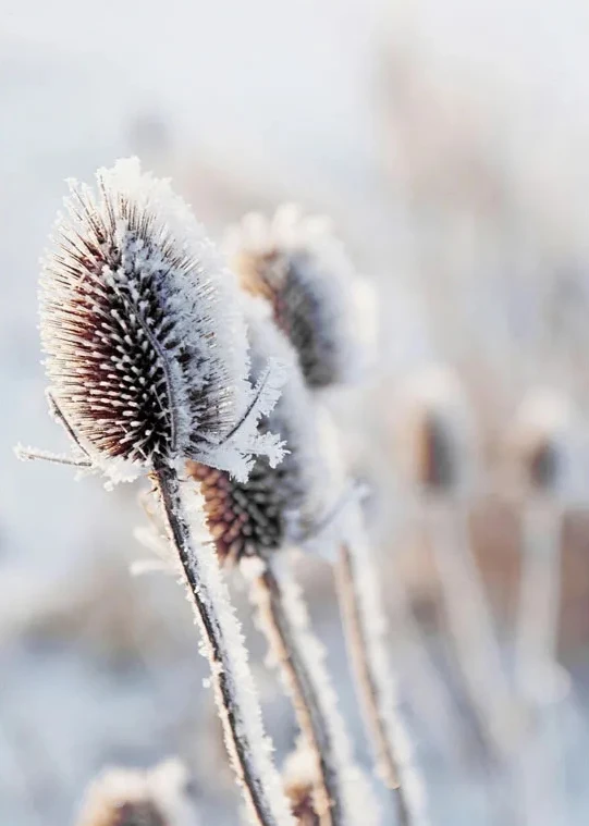 S0141fac4f48148a9a97a64df783cea12l 3