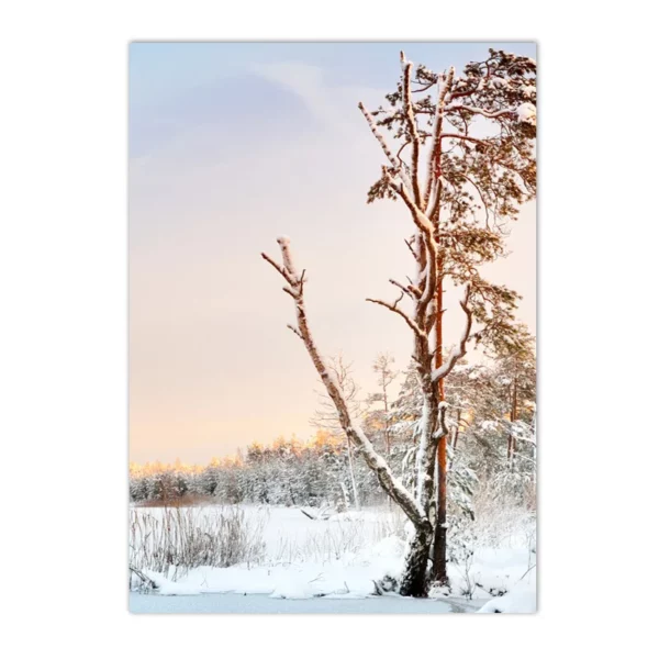 S047c4bbb17bb459f86cd40eb4a804ab6t 1