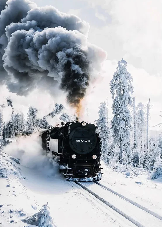 S10e390f7b79f40d5bb04bcb8b11d52ddB 2