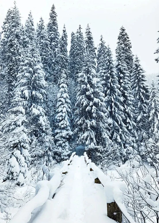 S1e6786daba4f40ca9ff2dcb0976a2be9z 2