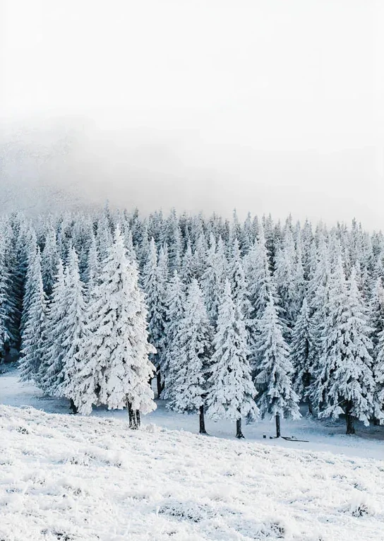 S23ee8f71ee4e458bb221e73274772604e 2