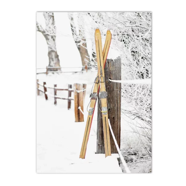 S3f62b9b0b8bd4d2aa1259283cb481144l 1