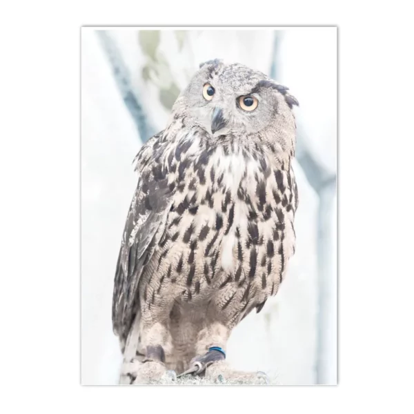 S563c20a1de064e6aa37aff46c9a102ebo 1