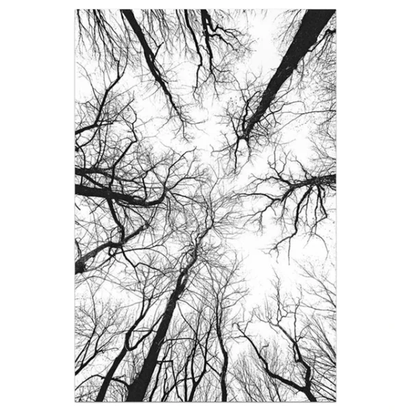 S5c131a3fab914a7abfda319d15136f9aq 1