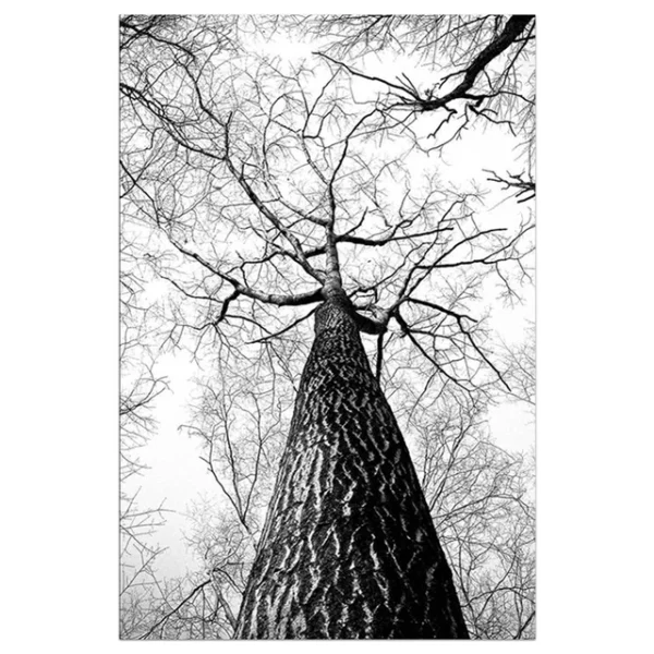 S67ceb8204c8e481cacb5bbd8dd108531N 1