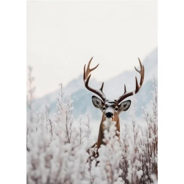 S6a03020baf2a44a29cf8c4e1d11af4d5v 1