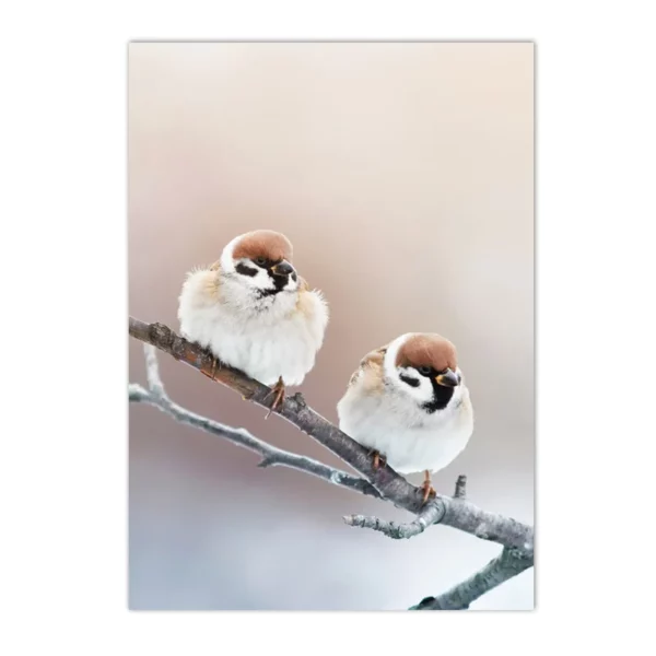 S6dd6835ae2084762ad59001026a07926a 1