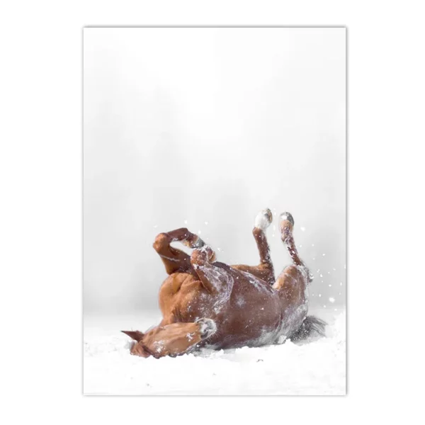 S72738b93e335412f8d9c8af3d476c605c 1