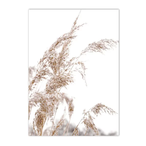 S811dddb4dc7b47778efd0dcbd3fb2db2Q 1