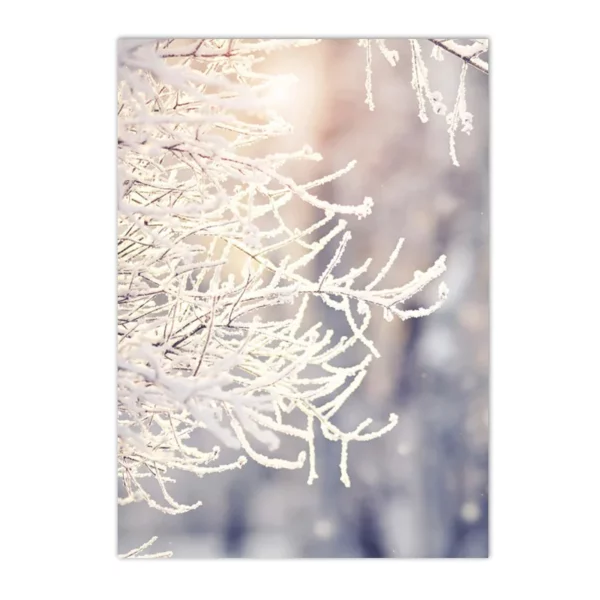 S85aed4a3630d48a8b3d150c654ad7c0a1 1