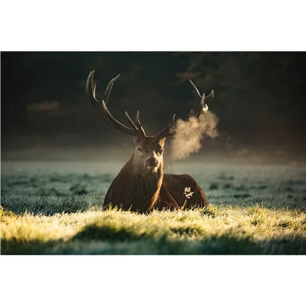 S8c8e7018397945778271f6309545ac429 1