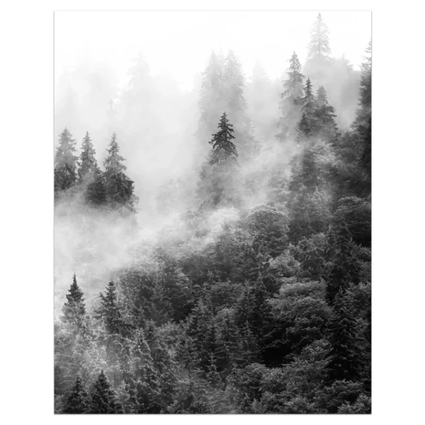 S8f6ac20b4e16405db2a3a8e1bb6848dcW 1