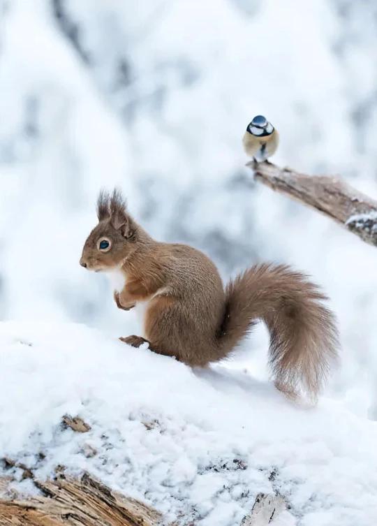 S9666395cf3af41d692a0588c2b08e763c 2