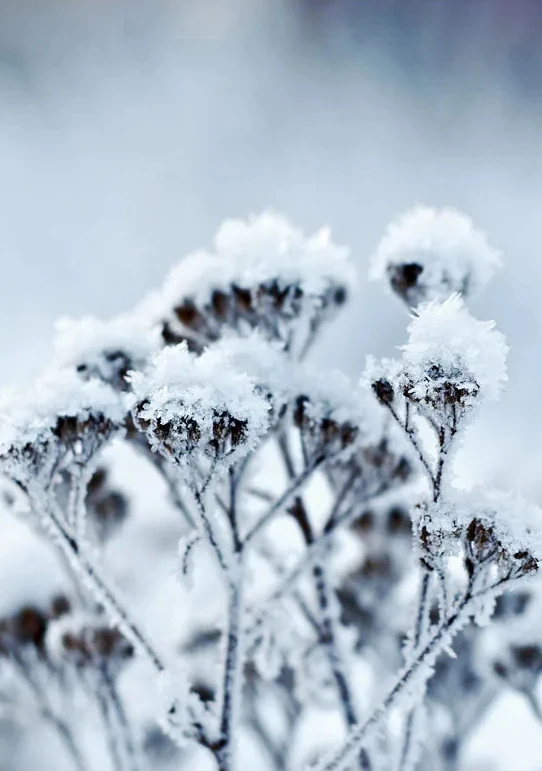 Sc879646ee5e84a73bbbd690952e305415 3